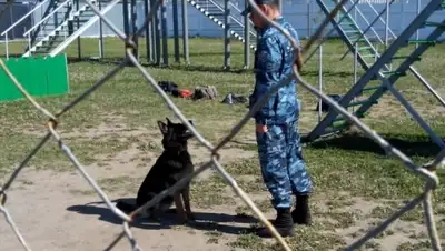 Zakon.kz, фото - Новости Zakon.kz от 24.08.2015 20:26