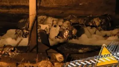 Zakon.kz, фото - Новости Zakon.kz от 09.10.2017 17:41