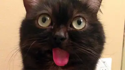 Zakon.kz, фото - Новости Zakon.kz от 13.10.2015 23:53