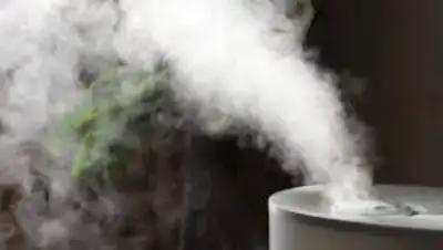 hronika.info, фото - Новости Zakon.kz от 07.02.2020 12:20