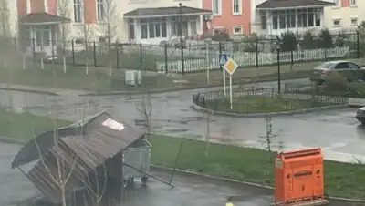 соцсети, фото - Новости Zakon.kz от 22.05.2018 15:48