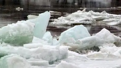 Zakon.kz, фото - Новости Zakon.kz от 05.04.2017 00:46