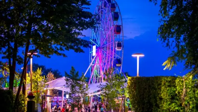 Элитные рестораны на Кок-тобе реализовывали алкогольную продукцию без лицензии