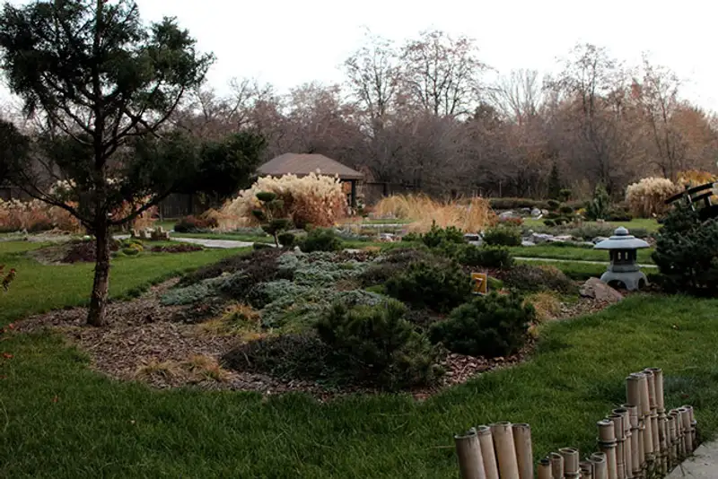 Алматинский ботанический сад похож на декорации фильма ужасов, фото - Новости Zakon.kz от 19.11.2013 22:22