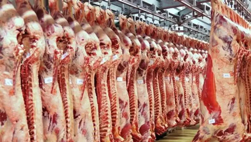 Казахстан начал поставлять мясо и птицу в Иран