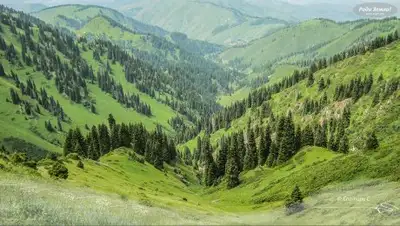 eatravel.kz, фото - Новости Zakon.kz от 09.01.2019 15:56