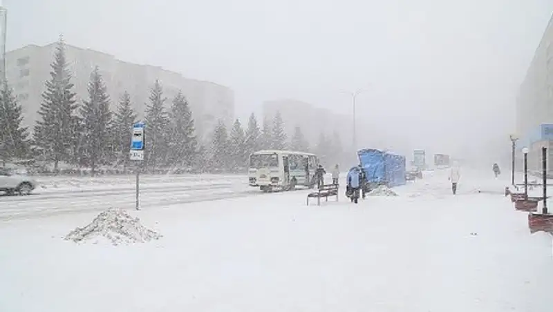 В Томске экстремал прыгнул с парашютом с крыши многоэтажки