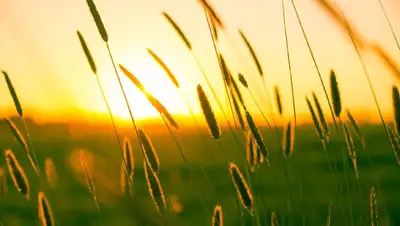 прогноз погоды на на 19-21 июля в Казахстане  , фото - Новости Zakon.kz от 18.07.2022 11:06