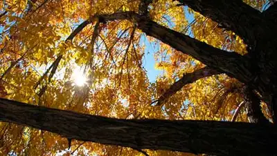 Zakon.kz, фото - Новости Zakon.kz от 18.10.2013 14:50