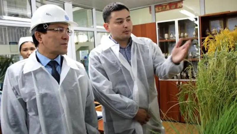 Сельское хозяйство в Кызылординском регионе развивается динамично - Сабильянов