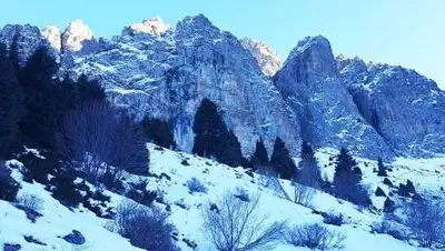 pixabay.com, фото - Новости Zakon.kz от 23.02.2021 13:17