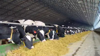 Zakon.kz, фото - Новости Zakon.kz от 11.07.2015 21:57