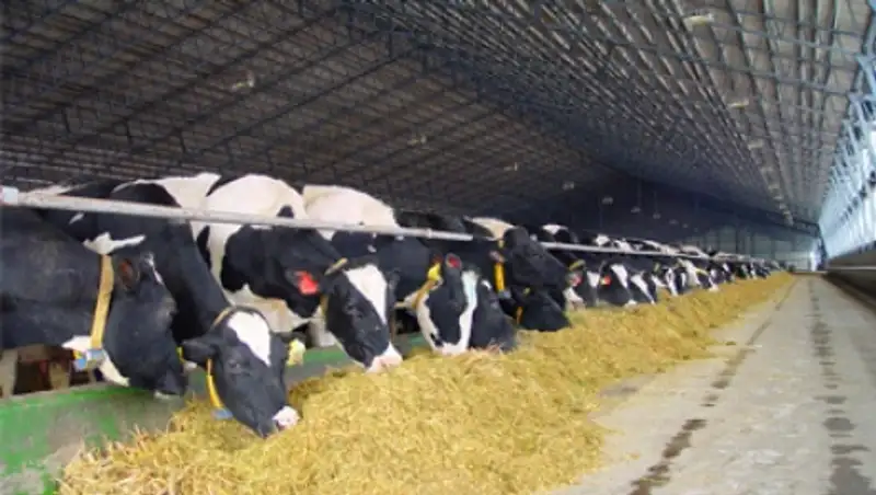 Кызылординскую область выведут из буферной зоны в 2015 году