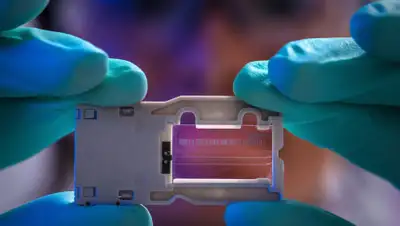 Vivek Wadhwa, фото - Новости Zakon.kz от 28.04.2020 22:22