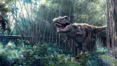 intermedia.ge, фото - Новости Zakon.kz от 22.02.2018 08:52