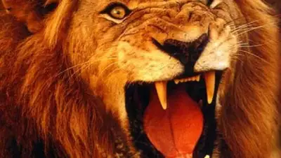 Publika.md, фото - Новости Zakon.kz от 02.05.2018 00:21