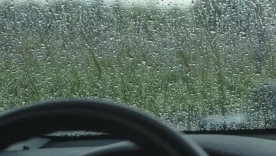 total.kz, фото - Новости Zakon.kz от 16.08.2018 09:30