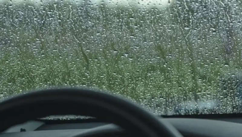 Дожди и грозы ожидаются в Казахстане