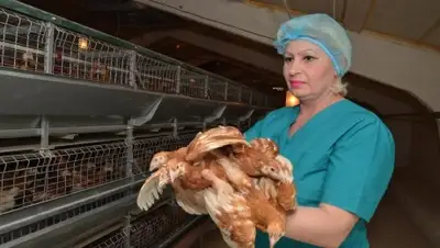 Zakon.kz, фото - Новости Zakon.kz от 10.04.2015 17:23