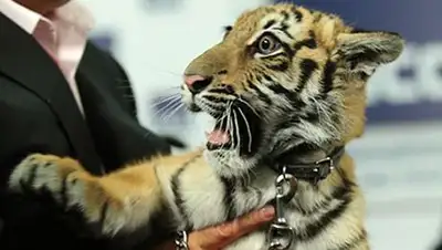 Zakon.kz, фото - Новости Zakon.kz от 22.09.2014 20:13