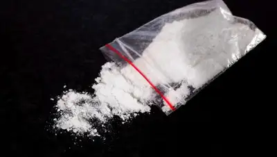 1reg.by, фото - Новости Zakon.kz от 09.08.2019 17:56