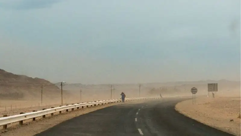 Пыльная буря, высокая пожарная опасность и жара +41°C ожидаются в Казахстане