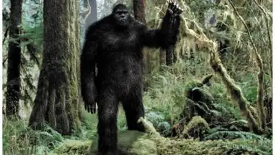 vistanews.ru, фото - Новости Zakon.kz от 18.07.2018 10:09