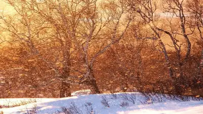зима, фото - Новости Zakon.kz от 28.02.2023 20:07