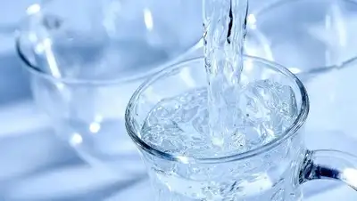 Суперсадовник, фото - Новости Zakon.kz от 08.11.2018 12:12