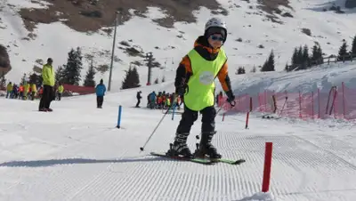 -, фото - Новости Zakon.kz от 04.12.2019 19:17