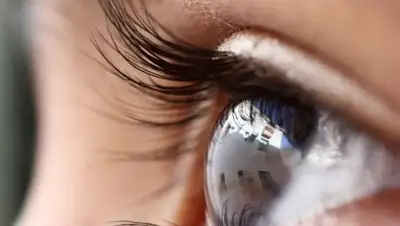 из открытых источников, фото - Новости Zakon.kz от 18.10.2018 08:59