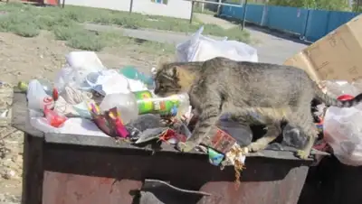 Zakon.kz, фото - Новости Zakon.kz от 13.05.2015 03:07