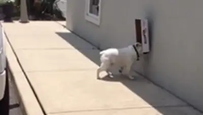 Zakon.kz, фото - Новости Zakon.kz от 12.08.2015 17:56