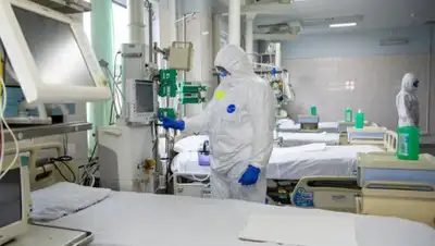 m24.ru, фото - Новости Zakon.kz от 07.08.2020 09:07