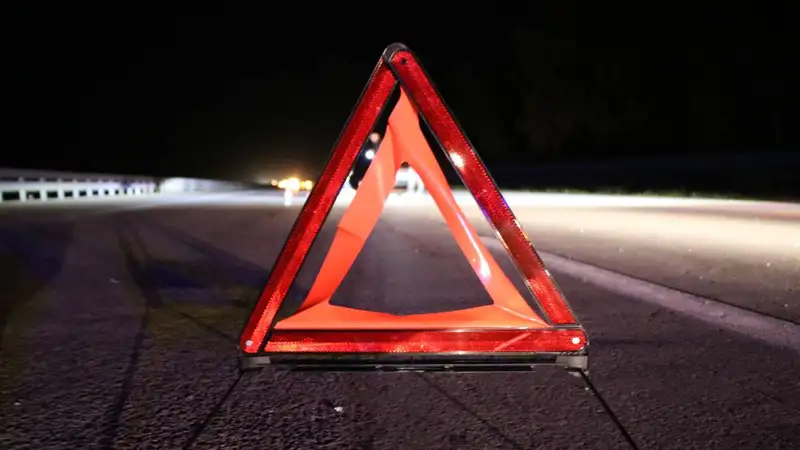 В Алматинской области легковушка вылетела в кювет – погибли два человека