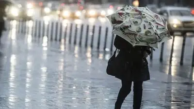 misto.news, фото - Новости Zakon.kz от 18.03.2018 12:28