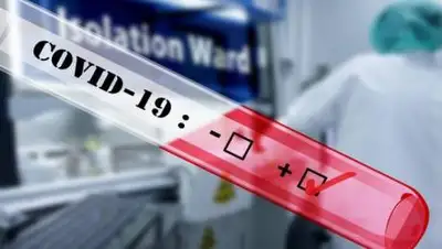 pixabay.com, фото - Новости Zakon.kz от 03.11.2020 09:59