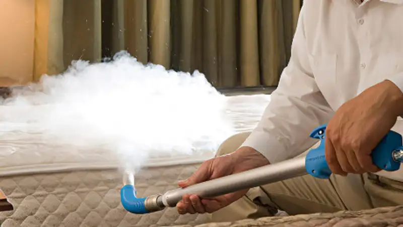 Соседи отравили женщину и двоих детей вместе с клопами в Актау