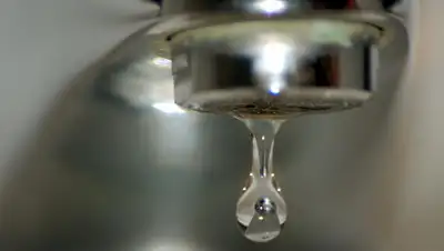 Espresso, фото - Новости Zakon.kz от 24.07.2019 00:30