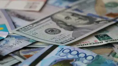 informburo.kz, фото - Новости Zakon.kz от 17.02.2020 16:12