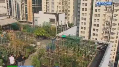 Zakon.kz, фото - Новости Zakon.kz от 17.11.2014 20:35