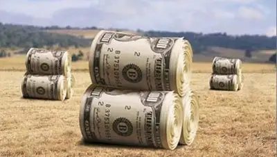 Zakon.kz, фото - Новости Zakon.kz от 31.10.2014 17:13