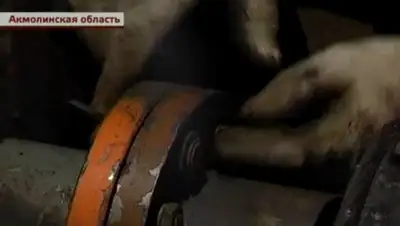 Zakon.kz, фото - Новости Zakon.kz от 03.11.2015 06:46