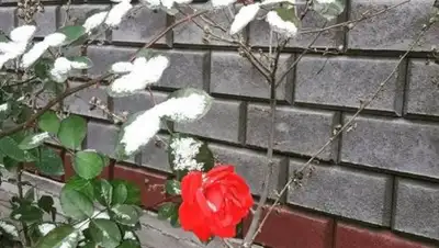 Zakon.kz, фото - Новости Zakon.kz от 19.11.2017 18:55