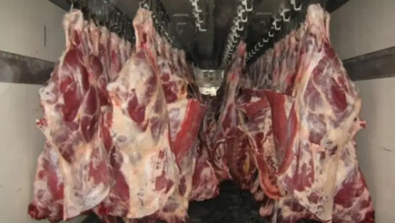 Павлодарская область в этом году снова перевыполнит план по экспорту говядины