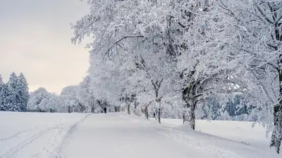 В южных областях Казахстана сохранится морозная погода, фото - Новости Zakon.kz от 15.01.2023 15:50