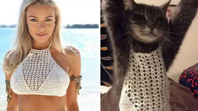 bigpicture.ru, фото - Новости Zakon.kz от 17.08.2019 15:04