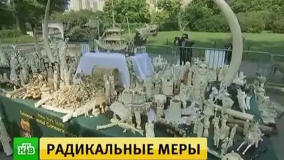 Zakon.kz, фото - Новости Zakon.kz от 04.08.2017 17:38