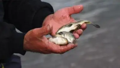 Zakon.kz, фото - Новости Zakon.kz от 26.09.2014 17:38