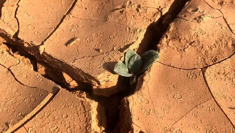 «Мифический оазис»: жители Шымкента недовольны новым парком за 300 млн